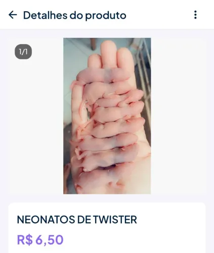 Neonatos de twister