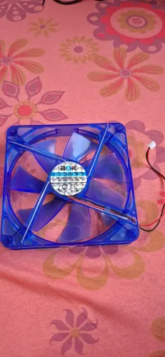 Fan