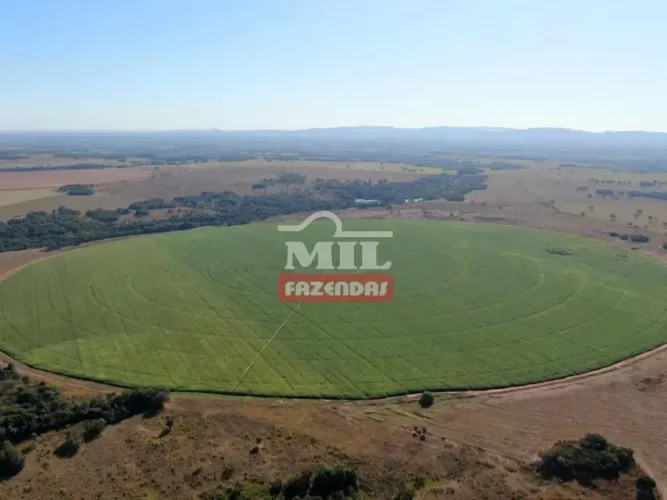 Fazenda 106 Alqueires (515 Hectares) Matrincha - GO