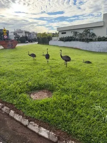 Lote - Condomínio do Lago