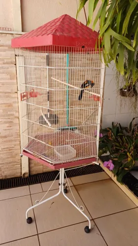 Vendo viveiro grande semi novo