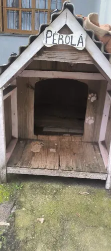 Casa de cachorro 