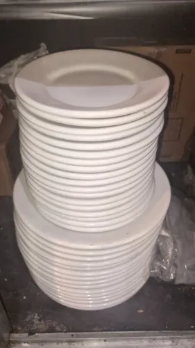 Pratos para restaurante novos