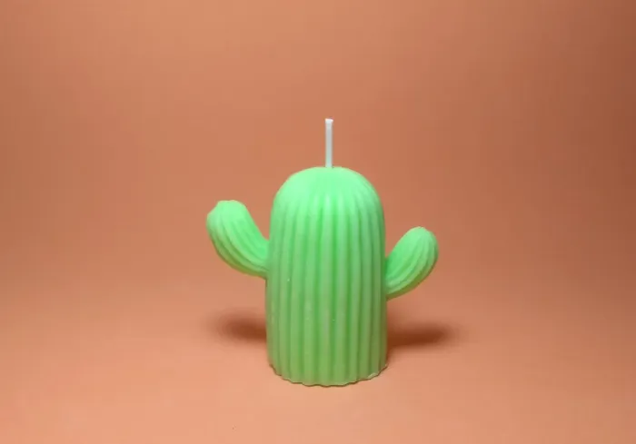 Vela cacto aromática
