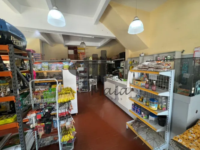 Locação Salão Comercial Sao Caetano do Sul Nova Gerti Ref: 45595