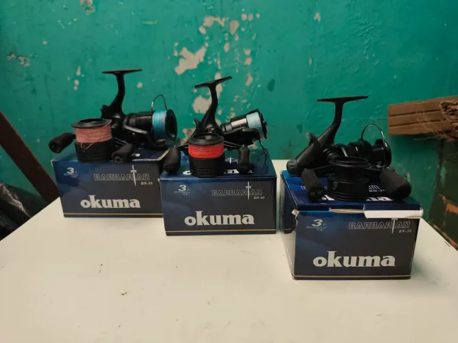 Molinetes okuma