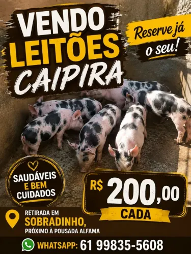 Leitões caipira