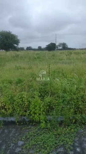 Lotes de condomínio à venda em Sairé/PE! A partir de R$ 65 mil!