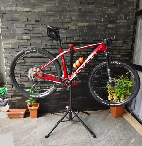 Colli Carbono 19?