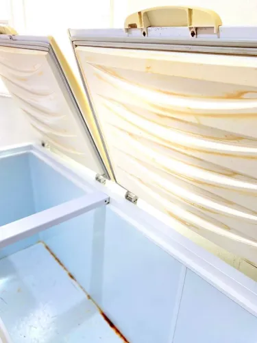 Freezer Gelopar