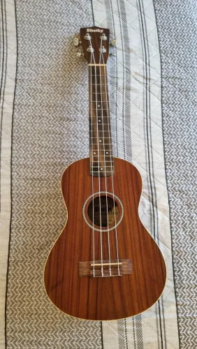 Ukulele Shelby