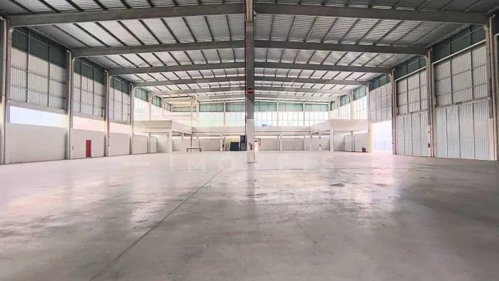 Galpão de 3.000m² para Alugar em Ilhota na BR 470 | Novo e Pronto para Uso