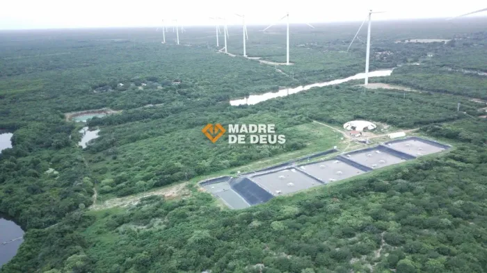 Oportunidade de Investimento no Trairi | Fazenda com 1,6 Milhão de m²
