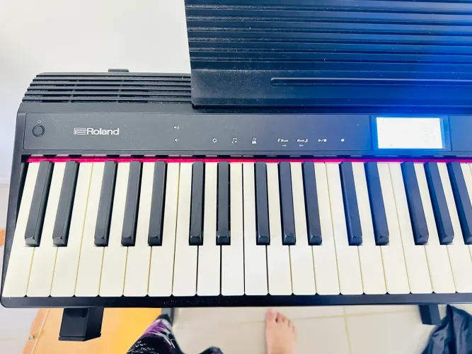 Roland GO-61P Teclado GO:Piano