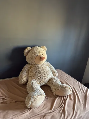 ? Urso gigante 70-100 cm, perfeito para presente! 