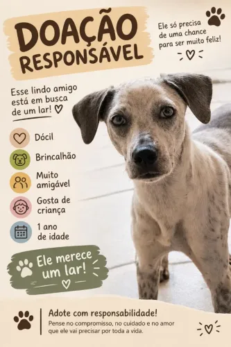 Doação responsável