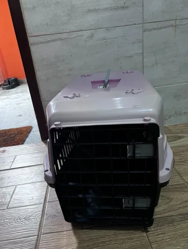Casinha de cachorro