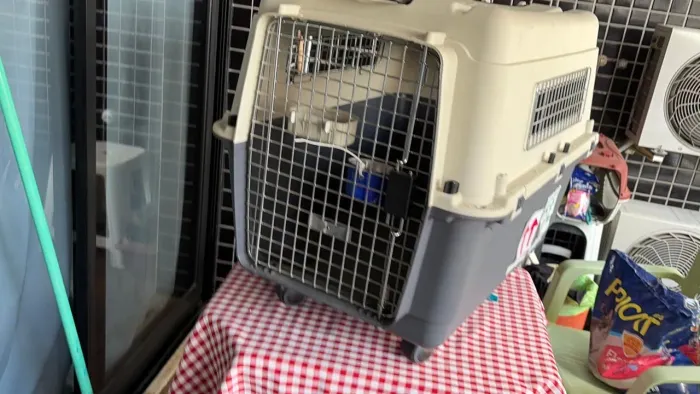 Caixa para levar animais