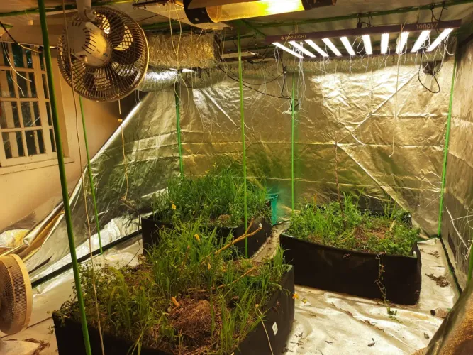Grow 3x3 metros x2 metros de altura