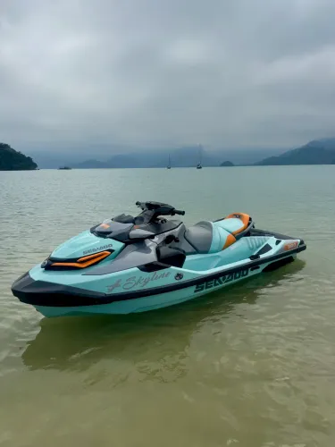 Jetski wake 230