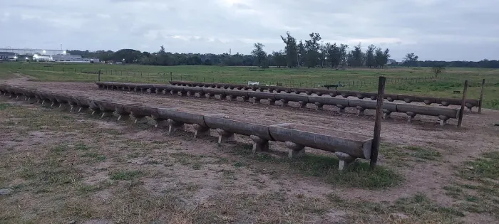 Cocho comedouro em concreto para alimentação de gado