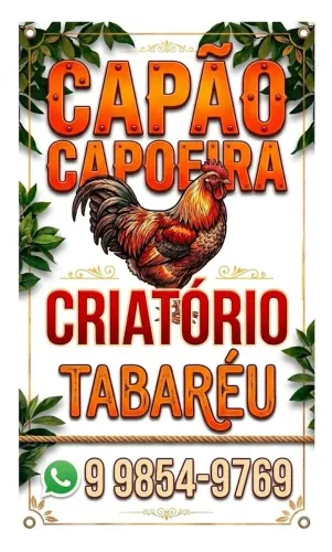 Vendo capão capoeiras