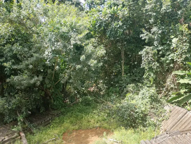 Terreno a venda. Loteamento Parada Águas Claras. 