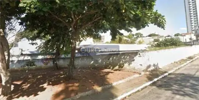 Aluga Terreno 953 m2 -Analia Franco -SP