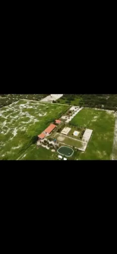 Haras com 15 hectares em PIMDORETAMA
