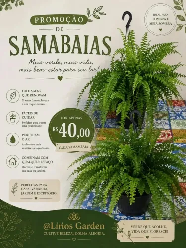 Samambaias
