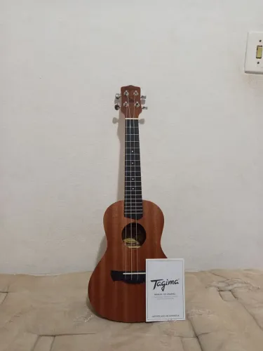 Ukulele Acústico 23k Cordas de Nylon Nts Fosco Concert Havaí