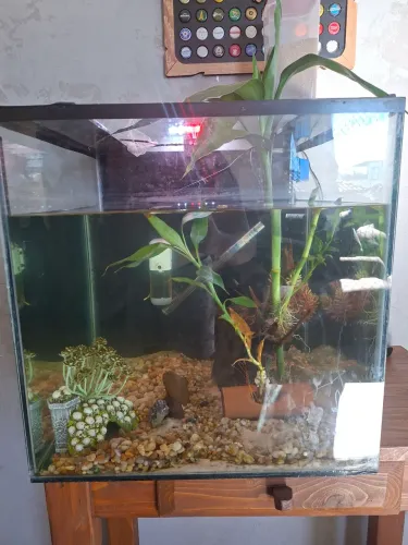 Aquário 125l com todos acessórios *sem movel