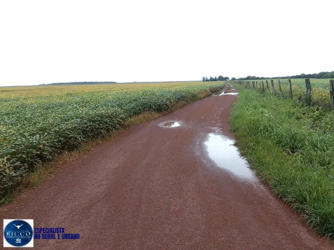 Fazenda à Venda em Rio dos Bois (TO)  195 Alqueires | Lavoura de Soja