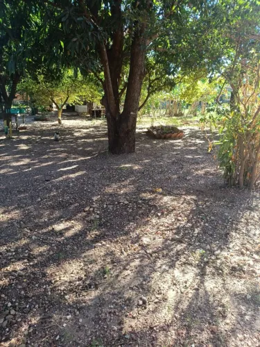 Vendo dois terrenos