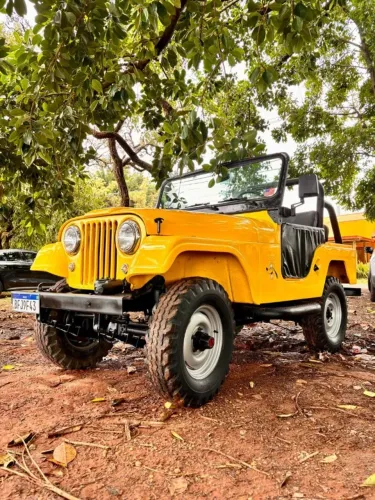 Willys Overland Jeep 2.6 12V Gasolina 2P 1958