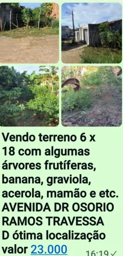 Terreno