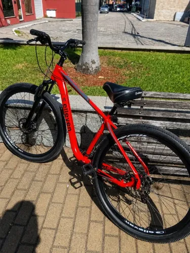 Bicicleta aro 29