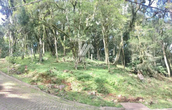 TERRENO NO CONDOMÍNIO PINHEIRO GROSSO EM CANELA!