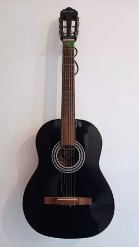 Violão Giannini Travador Brasil