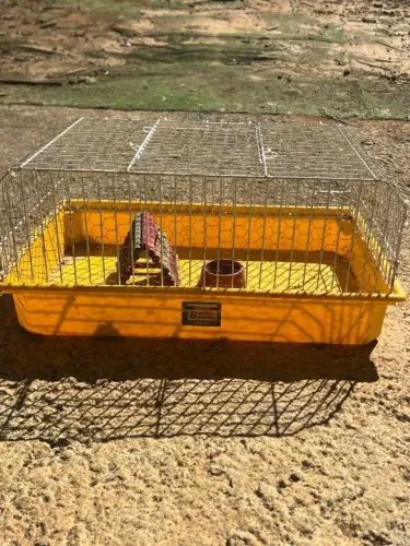 gaiola de hamster grande 
