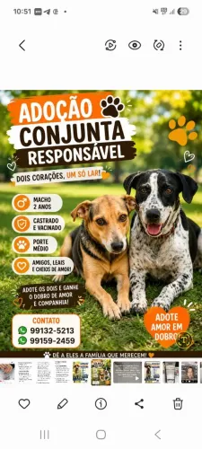 Adoção Conjunta Responsável 