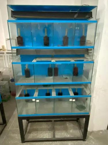Bateria de Aquário