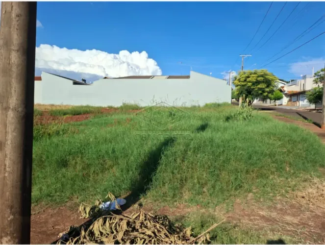 Terreno Padrão em Jaú