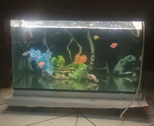 Aquário 60 litros