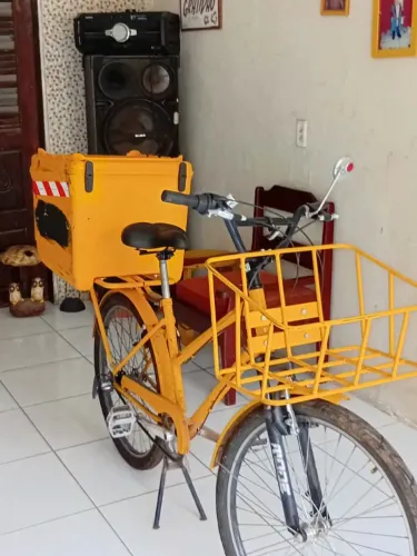 Bicicleta cargueira