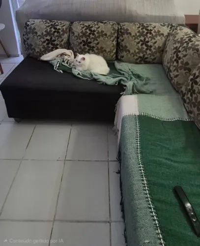 Sofá de canto