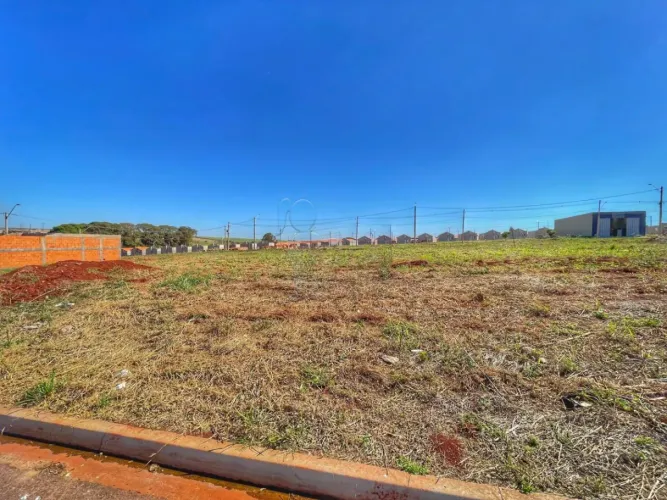 Terreno de 206m² à venda - Bella Cravinhos