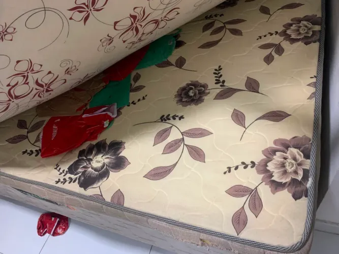 Cama box