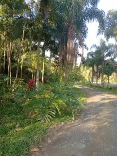 Sítios para venda em Cananeia no bairro Iririaria Mirim
