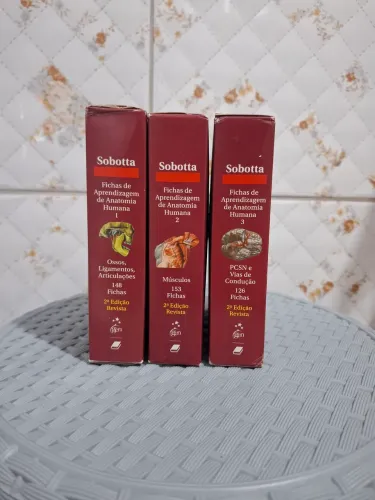 Fichas de anatomia Sobotta